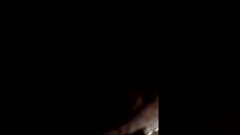 720damecurry online show from June 22, 2026, 2:13 am