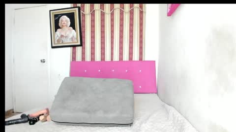 alahia66 online show from May 12, 2026, 11:40 am