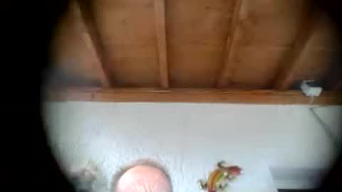 Snapshot of alebrusa chatting on July 16, 2026, 3:51 pm Alebrusa online show from July 16, 2026, 3:51 pm