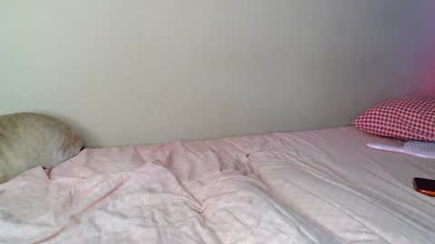 Snapshot of alicerabdit chatting on July 18, 2026, 3:49 pm Alice online show from July 18, 2026, 3:49 pm