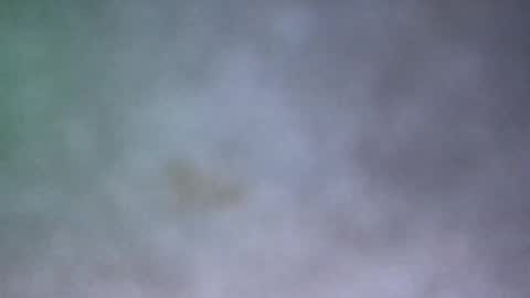 all_most_sane online show from May 17, 2026, 3:30 pm
