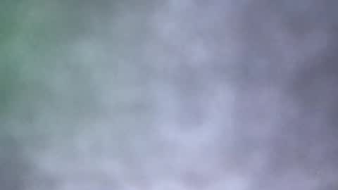 all_most_sane online show from May 18, 2026, 4:02 pm