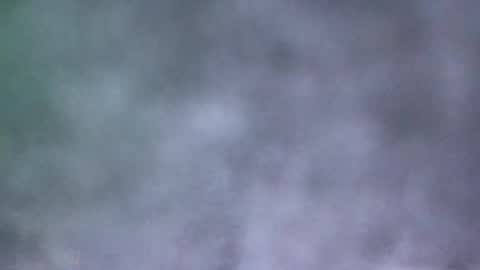 all_most_sane online show from May 19, 2026, 4:02 pm