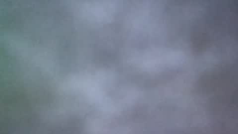 all_most_sane online show from May 20, 2026, 2:45 pm