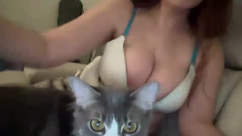 bbgmilkersrose online show from May 29, 2026, 7:50 am