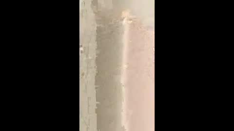 Snapshot of bdsmcutiepue chatting on June 10, 2026, 11:42 am bdsmcutiepue online show from June 10, 2026, 11:42 am