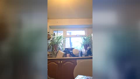 zeef online show from June 24, 2026, 7:46 pm