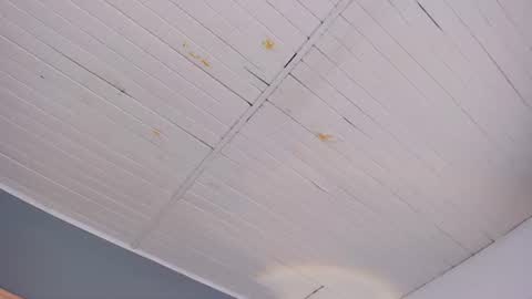 bellaboobs_ online show from June 18, 2026, 7:18 pm