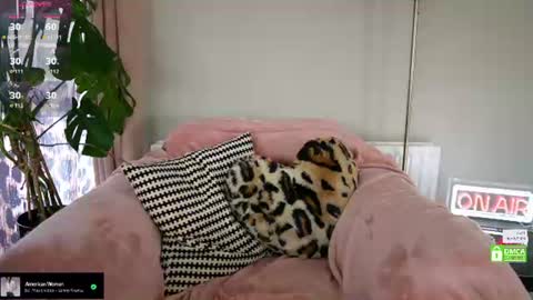 Snapshot of billiexxox chatting on June 26, 2026, 2:21 pm Billie online show from June 26, 2026, 2:21 pm
