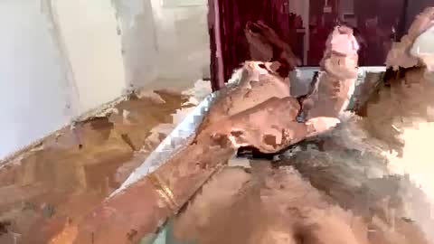 brazilianb0yy online show from August 8, 2026, 12:07 pm