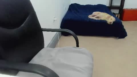 Cami online show from July 10, 2026, 8:33 pm