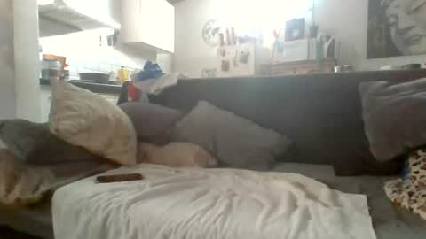 canary_braun online show from July 9, 2026, 6:34 pm