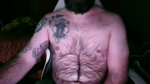 chub bear 99 online show from May 24, 2026, 1:21 am