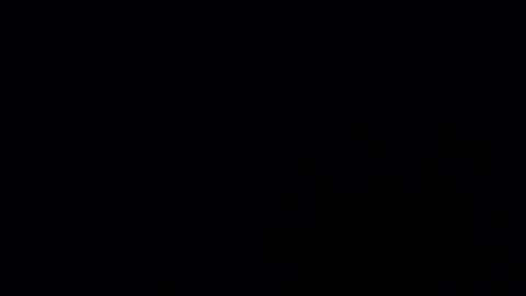 cloe_sun_ online show from July 19, 2026, 8:56 pm