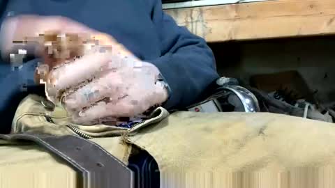 copart84 online show from December 28, 2024, 5:03 pm