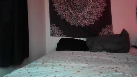 Snapshot of curvybcelinemixe chatting on June 21, 2026, 1:41 am Cline online show from June 21, 2026, 1:41 am