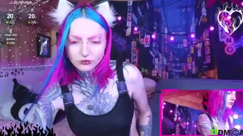 Neko online show from July 26, 2026, 5:04 am