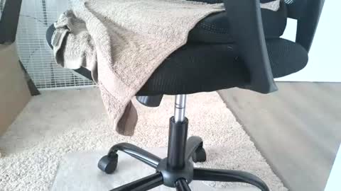 Snapshot of dapppper chatting on June 13, 2026, 12:14 pm dapppper online show from June 13, 2026, 12:14 pm