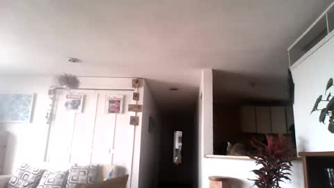 diego_incubo_ii online show from July 15, 2026, 4:34 pm