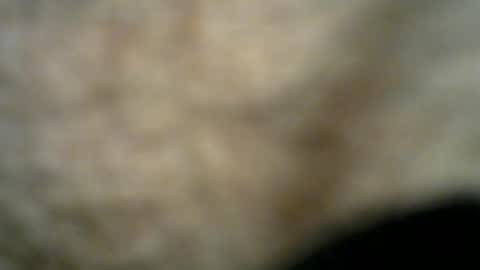 Bob online show from July 26, 2026, 11:22 pm