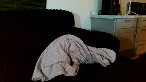 Draya Nicole online show from June 27, 2026, 12:33 pm