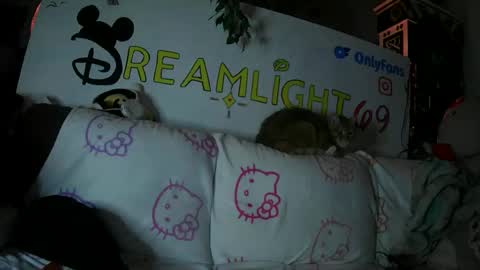 Snapshot of dreamlight69 chatting on January 26, 2025, 7:53 am Dreamlight online show from January 26, 2025, 7:53 am
