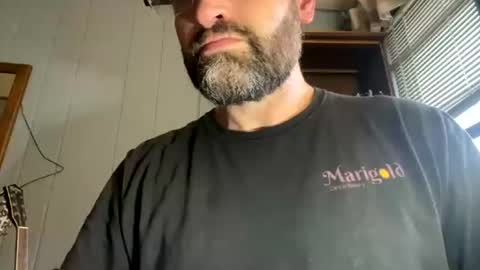 PiedPiper online show from July 30, 2026, 12:26 pm