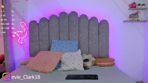 My name is Evie  nice to meet you  really get to know me better private is open  online show from June 2, 2026, 9:17 pm