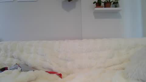 Snapshot of evillers1 chatting on July 9, 2026, 11:42 pm Badblondebunny online show from July 9, 2026, 11:42 pm