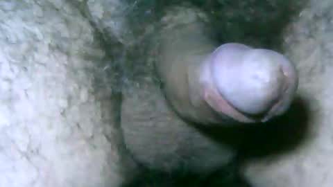 fer_2197 online show from May 29, 2026, 2:04 pm