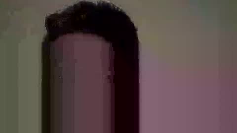 Nate online show from June 10, 2026, 8:24 am