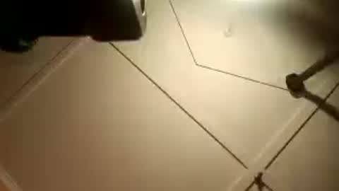 Snapshot of fucmebudoo chatting on August 2, 2026, 2:32 am Warwick online show from August 2, 2026, 2:32 am