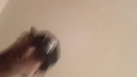 giantdick4u1991 online show from July 7, 2026, 7:23 am