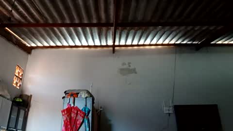 Snapshot of gordinha_1993 chatting on July 25, 2026, 12:03 pm gordinha_1993 online show from July 25, 2026, 12:03 pm