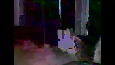 grittslappa online show from June 9, 2026, 2:34 am