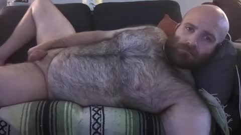 Hairiest Bear online show from July 23, 2026, 12:36 pm