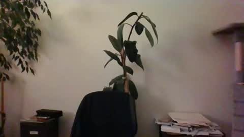 hairypussylover089 online show from June 24, 2026, 4:11 am