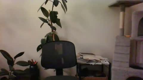 hairypussylover089 online show from July 12, 2026, 4:36 am