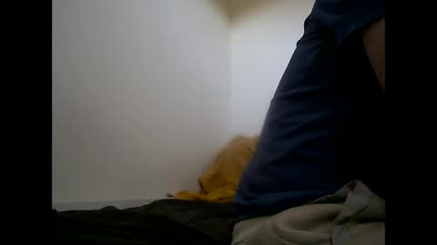 handsomepenis20cm online show from April 29, 2026, 4:22 pm