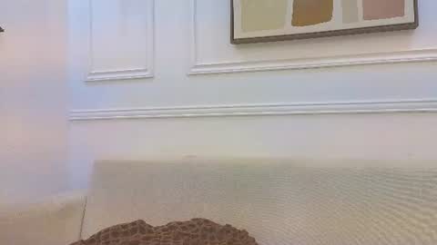 Snapshot of hanna_squirt_1 chatting on July 10, 2026, 10:40 am HANNA SOFIA online show from July 10, 2026, 10:40 am