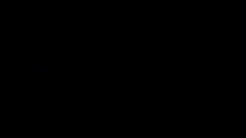 hcw1 online show from June 2, 2026, 2:57 am