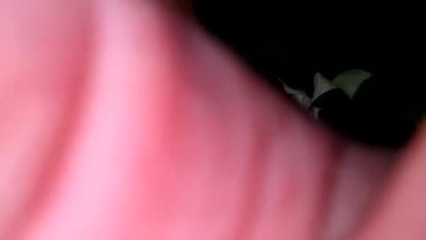 Snapshot of hunk1987_ chatting on April 27, 2026, 4:32 am hunk1987_ online show from April 27, 2026, 4:32 am