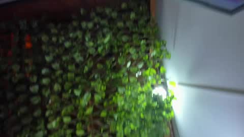 Snapshot of im_xandersmith chatting on May 26, 2026, 8:38 pm im_xandersmith online show from May 26, 2026, 8:38 pm