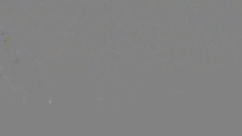 Snapshot of itsnyladior777 chatting on June 6, 2026, 3:39 pm ItsNyladior online show from June 6, 2026, 3:39 pm