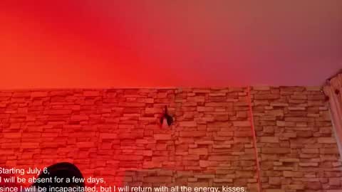 Snapshot of jade_white_ chatting on June 17, 2026, 12:18 pm jade white online show from June 17, 2026, 12:18 pm