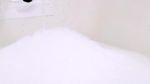 Bootyshows online show from June 29, 2026, 5:46 pm
