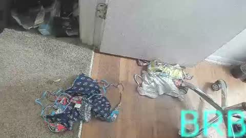 Bootyshows online show from August 2, 2026, 3:54 pm