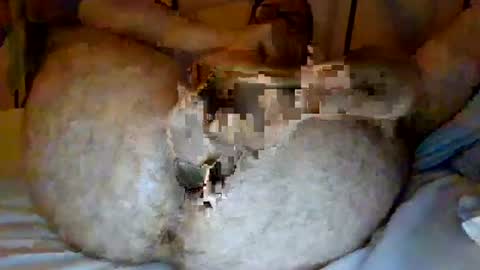 jjhot902921 online show from June 25, 2026, 2:44 am