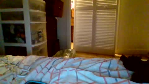 Snapshot of juicylatinabbw chatting on May 13, 2026, 6:44 am juicylatinabbw online show from May 13, 2026, 6:44 am
