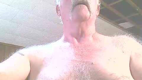justdon online show from June 24, 2026, 3:33 pm